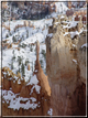 foto Capitol Reef e Bryce Canyon